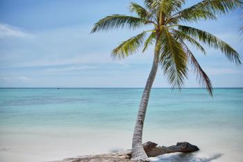 Achat-photo-photographies-vente-tirage-photo-grande-taille-206